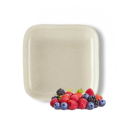 Deep Soup Plate Square Series Collection Eagle (All Sizes)