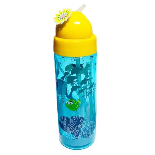 500ml Acrylic Sport Bottle with Straw (All Colour)